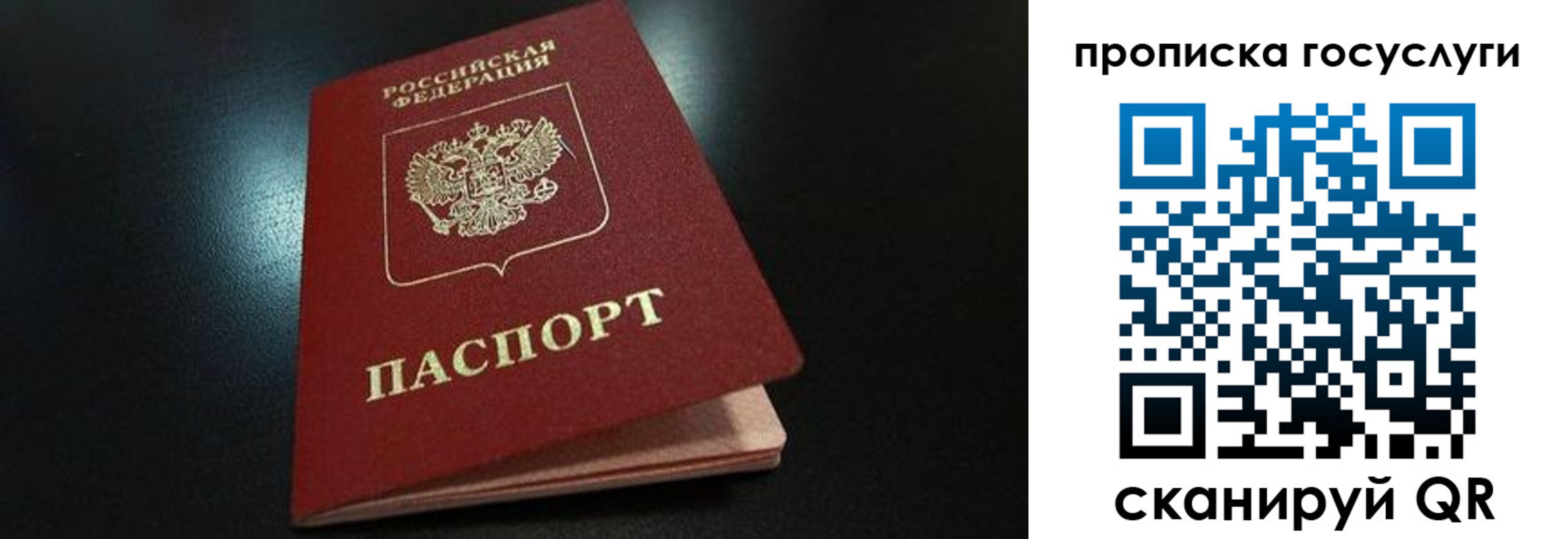 прописка иностранных граждан в Алексеевке